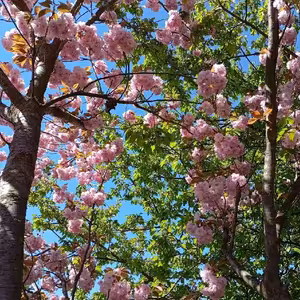 Pojedu za Olinkou 😆😆😆😆😆