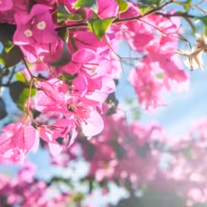 Žít věčným životem