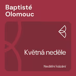 Květná neděle (28.3.2021)