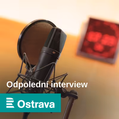 Odpolední interview