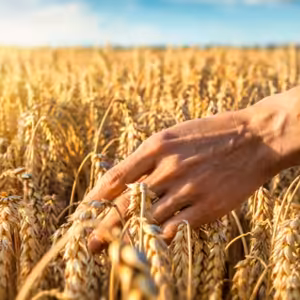 Přinášet úrodu v moci Božího slova