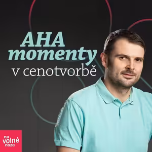 Roman Věžník: AHA momenty v cenotvorbě na volné noze