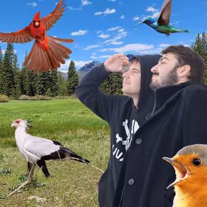 Ep.1 - BRABEC NÁDHERNÝ