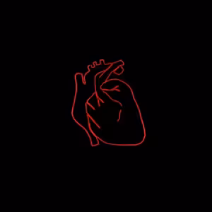 S2:E14 Ochorenia obehového systému