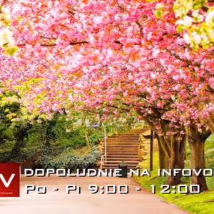 Dopoludnie na Infovojne s Adrianom 17.6.2024