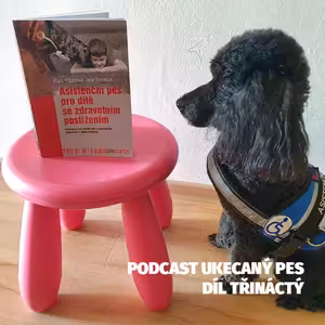 Asistenční psi a jejich výcvik a výchova