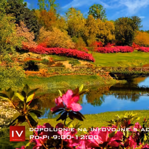 Dopoludnie na Infovojne s Adrianom 3.5.2022