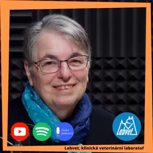 Paní Tichá vzpomíná a vypravuje