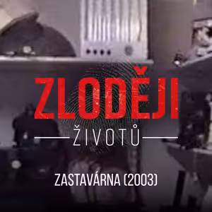 ZASTAVÁRNA: Přepadl zastavárnu a smrtelně zranil matku dvou dětí. Resocializace pachatele selhala