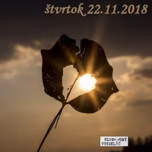 Verejné tajomstvá 233 - 2018-11-22 Psychosomatika v mojom živote