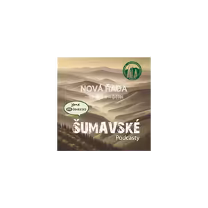 #06 - NENÍ KEMPOVÁNÍ JAKO KEMPOVÁNÍ