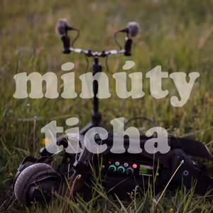 173. „Slovenská politika připomíná scénář argentinské telenovely o vojenské chuntě,“ říká Peter Bárdy