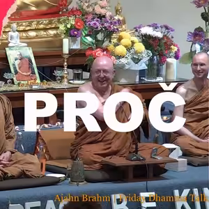 Naslouchejte a ptejte se PROČ | Ajahn Brahm | 1.1.2021