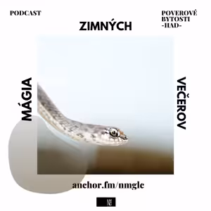Mágia zimných večerov - Poverové bytosti - o hadoch