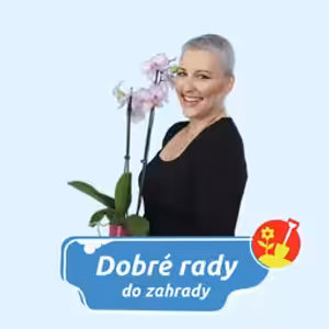 DOBRÉ RADY DO ZAHRADY NA RÁDIU BLANÍK-Udržitelné pěstování pokojových rostlin