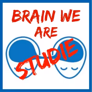 Studie: Jak si mozek vybírá signál a dokáže ignorovat okolí?