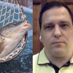 Komerční banka se naváží do kapra, tyto kampaně jsou hloupé a nemají se dělat, říká Zdechovský