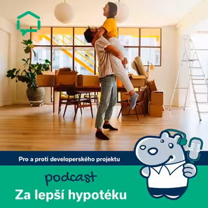 190. Pro a proti developerských projektů