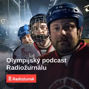 Místopředseda ČOV: Sport nejde dlouhodobě dělat bez diváků