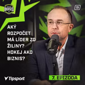 Aký rozpočet má líder zo Žiliny? Hokej ako biznis?
