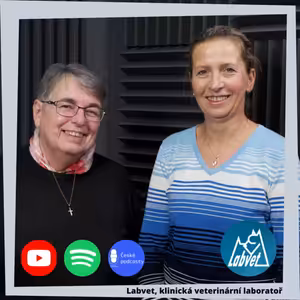 Máme doma štěně. A co dál?