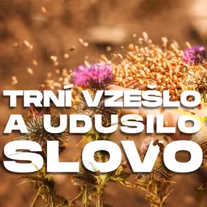 Trní vzešlo a udusilo Slovo - Bohuslav Wojnar (5.8.2024)