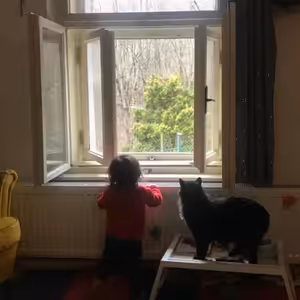 Kompromis všech kompromisů