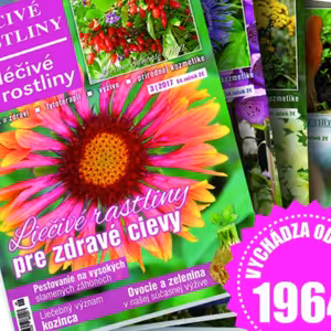 Liečivé rastliny 07 Zdravé zaváranie