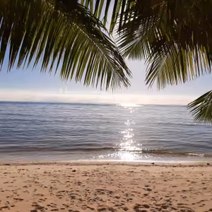 Mindfulness meditácia prítomného okamihu