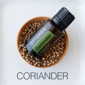 Koriandr: Zelený Klíč k Vitalitě 🌿✨