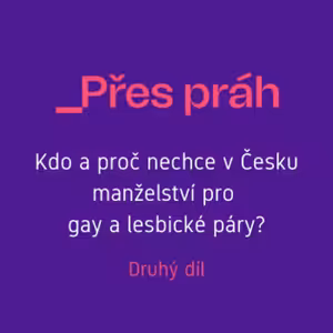 Kdo a proč nechce v Česku manželství pro gay a lesbické páry?