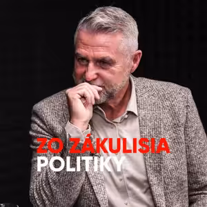 Gašpar: Opozícia uteká s každým zákonom do Bruselu, nech nás preveria a zavrú koho treba