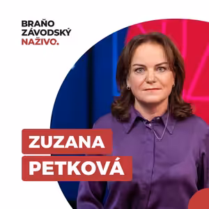 Ficova vláda podľa neziskoviek ruší úrad, ktorý bol jej dieťaťom a fungoval bez problémov