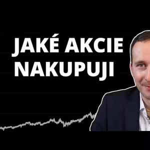 Jaké typy akcií nakupuji do svého investičního portfolia?