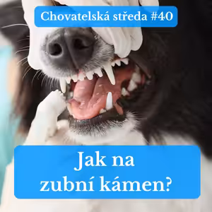 🦷 Jak na ZUBNÍ KÁMEN? 🦷 | Chovatelská středa #40