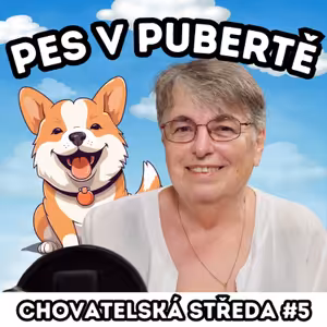 🐾 PES v PUBERTĚ 🐾| Chovatelská středa #5
