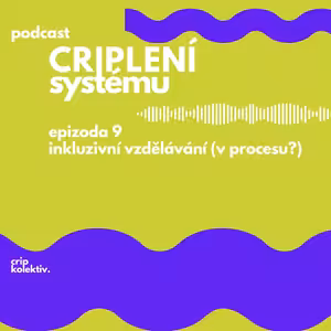 inkluzivní vzdělávání (v procesu?)