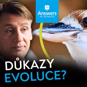 Důkazy evoluce? | Stvořitel nebo evoluce?