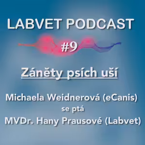 Záněty psích uší