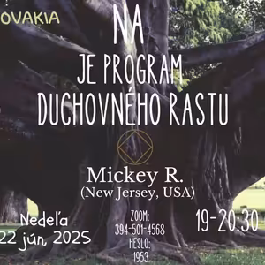 NA je program duchovného rastu - Mickey R. (New Jersey, USA) - 22. 6. 2025