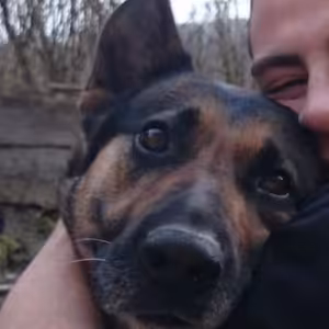 MIKROCORE - R.I.P.Sarah