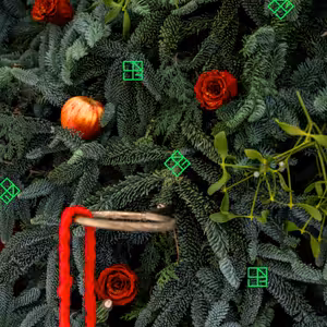 Vianočný špeciál / Príhody, skúsenosti, vtipy a tipy 2024