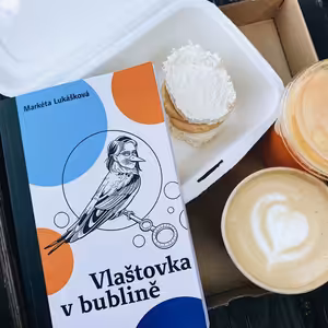 Vlaštovka v bublině