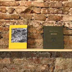 Galerie Fotografic: Something about the Alps, linden trees...(Franziska Schrödinger) EN