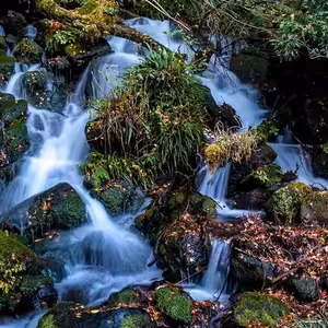 Změna je život? (15. mezidobí B Nýrsko)