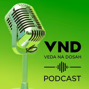 Slovenský med patrí medzi najlepšie na svete. Čo vieme o tekutom zlate (Juraj Majtán)