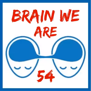 54: Zánětlivost - Proč, Co a Jak dělat pro dlouhodobé zdraví a optimální fungování?