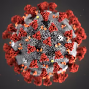 RYCHLOVKA - Koronavirus