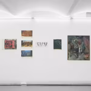 Galerie Futura: Pro případ, že poslední věc, co uvidíš, bude koruna stromu(Vladimír Kokolia)