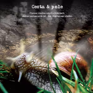 Cesta a pole (Road and field)